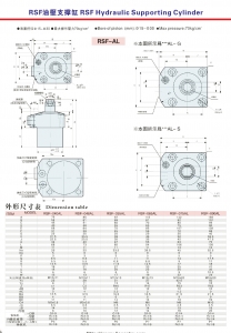 RSF Hydraulic Supporting Cylinder 